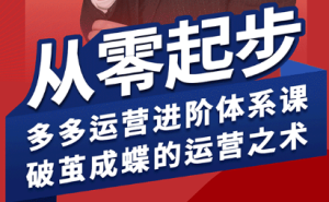 海神·拼多多运营进阶系统课(更新9月)-七量思维