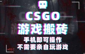 CSGO游戏挂机捡漏,单日扫货500+,年底小高峰上车可吃肉,手机即可操作…-七量思维