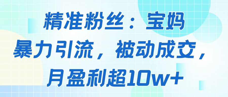 精准粉丝：宝妈暴力引流方法，被动成交，月盈利超10w+-七量思维
