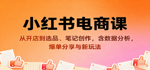 小红书电商课：从开店到选品、笔记创作，含数据分析，爆单分享与新玩法-七量思维