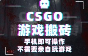 CSGO游戏挂G捡漏,单日扫货5张+,年底小高峰上车可吃肉,手机即可操作,兼职副业创业网创【揭秘】-七量思维
