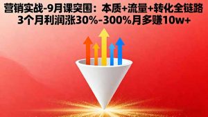营销实战-9月突围课:本质+流量+转化全链路 3个月利润涨30%-300%月多赚10w+-七量思维
