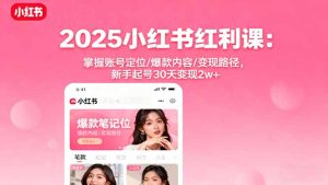 2025小红书红利课：掌握账号定位/爆款内容/变现路径，新手起号30天变现2w+-七量思维