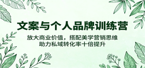 文案与个人品牌训练营,放大商业价值,搭配美学营销思维,助力私域转化率十倍提升-七量思维