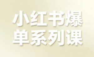 小红书爆单系列课,聚焦小红书电商全链路增长-七量思维
