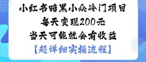 小红书暗黑小众冷门项目每天变现2张当天可能就会有收益-七量思维