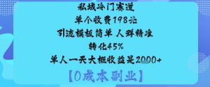 私域冷门赛道:单个收费198米引流模板简单人群精准转化45%单人一天大概收益是1k+-七量思维