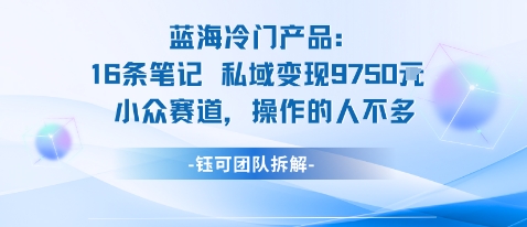 蓝海项目：16条笔记私域变现9750米小众赛道操作的人不多-七量思维