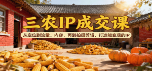 三农IP成交课：从定位到流量、内容，再到拍摄剪辑，打造能变现的IP-七量思维