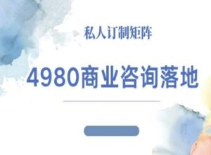 4980商业咨询师落地课程-ip运营高客单教程-七量思维