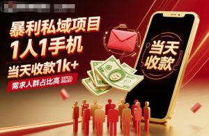 暴利私域项目1人1手机,当天收款1k+,需求人群占比高,当天就能见到钱-七量思维