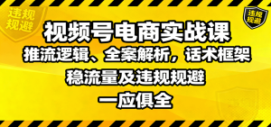视频号电商实战课：推流逻辑、全案解析，话术框架，稳流量及违规规避等-七量思维