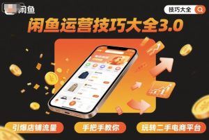 闲鱼运营技巧大全3.0，引爆店铺流量，手把手教你玩转二手电商平台-七量思维