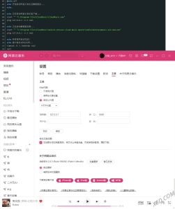 网易云解锁灰色歌曲v0.28.0-七量思维