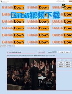 b站视频下载软件BilibiliDown v6.40-七量思维