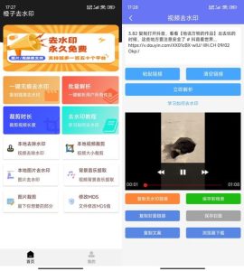 安卓橙子去水印解析多功能 v3.1.15-七量思维