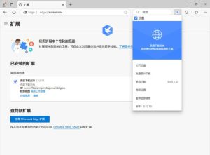 迅雷2025 Beta 25.0.1.1032 绿色精简版-七量思维