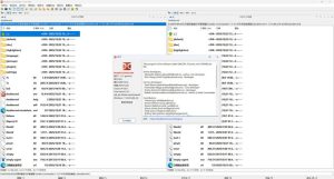 双窗格文件管理Double Commander v1.1.31绿色版-七量思维