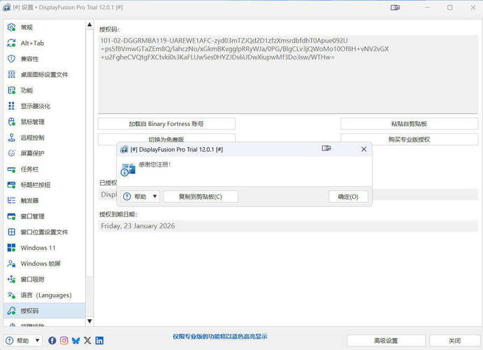 图片[2]-多显示器管理DisplayFusion Pro v12.0.1高级版-七量思维