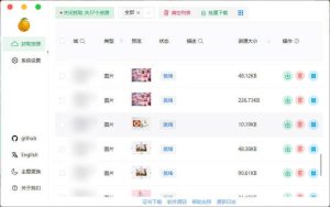 万能素材下载器Res-downloader v3.1.3绿色版-七量思维