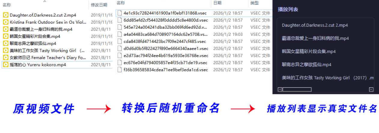 图片[2]-老司机隐私播放器SecureVault Player V0.8.9-七量思维