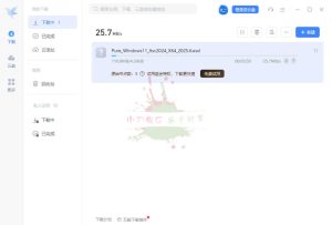 迅雷2025Beta v25.0.3.1090绿色精简版-七量思维