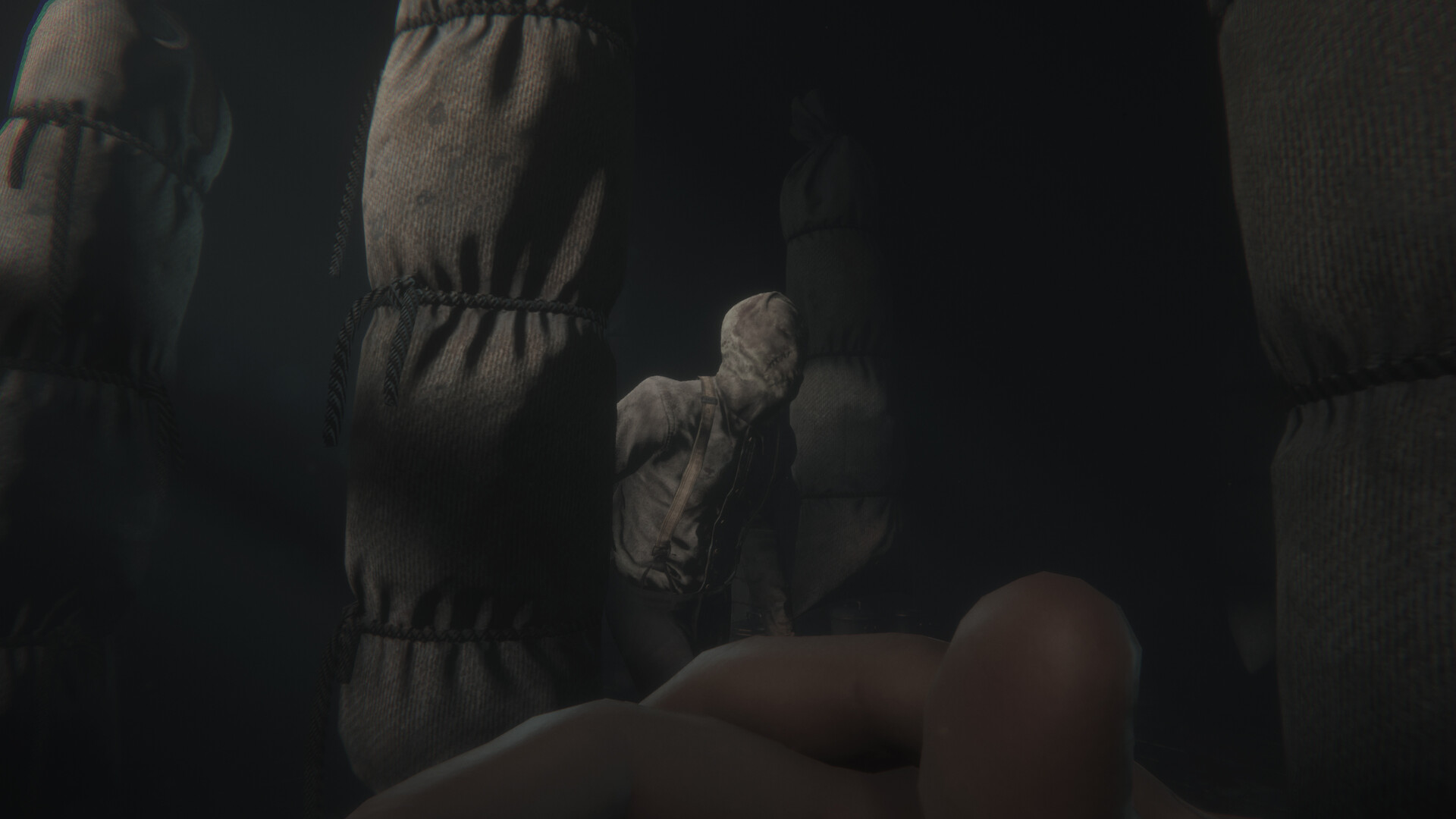 图片[3]-《斯盖尔之女》VR中文版-七量思维