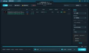 solong视频转换器 V1.1绿色版-七量思维