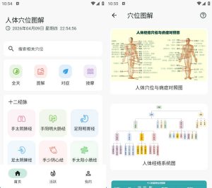 安卓人体穴位图解 v3.2.0-七量思维