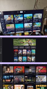 安卓TV哔哩哔哩第三方电视TVapp BV_0.3.16.r898-七量思维