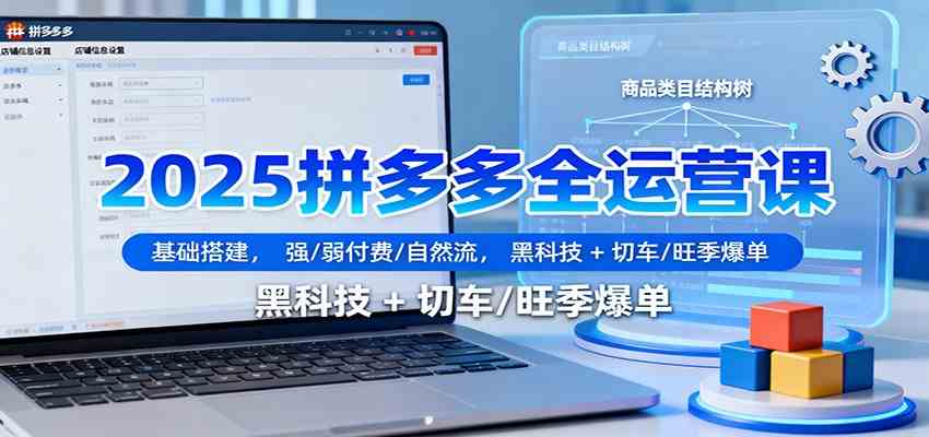 2025拼多多全运营课:基础搭建,强/弱付费/自然流,黑科技 + 切车/旺季爆单-七量思维