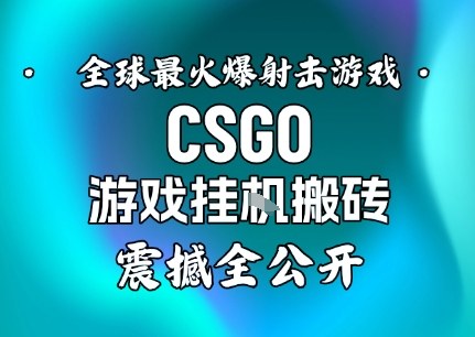 【年底大揭秘】基于全球最火爆的射击CSGO游戏挂G搬砖,日入5张+,震撼公开-七量思维
