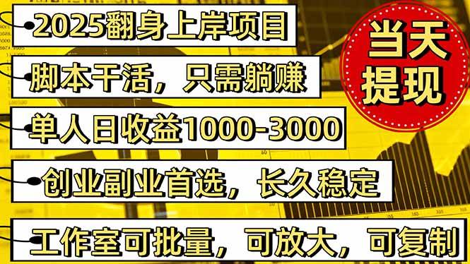 (16501期)2025翻身上岸项目脚本干活,内部客户经理内部开号,单人日收益1000-300…-七量思维