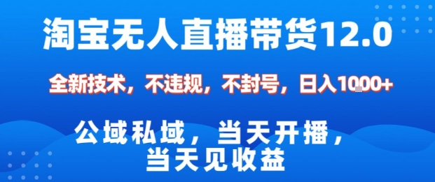 淘宝无人直播12.0，公域私域技术，不封号，不违规布局双十一流量风口，日入1k（独家技术）【揭秘】-七量思维