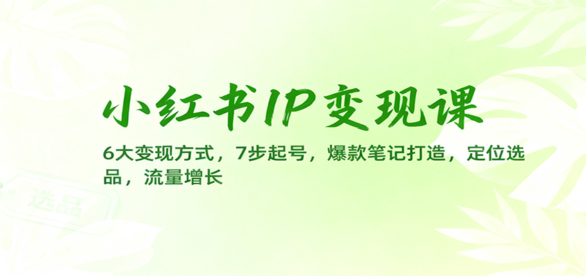 小红书IP变现课:6大变现方式,7步起号,爆款笔记打造,定位选品,流量增长-七量思维
